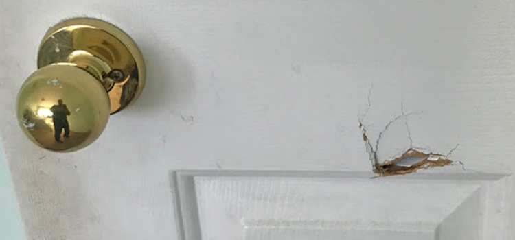interior door hole repair Willows